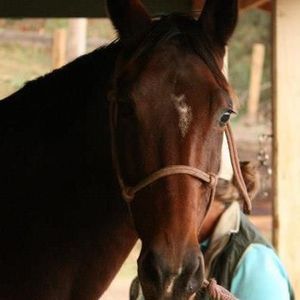 Meet your Posher, Barbara